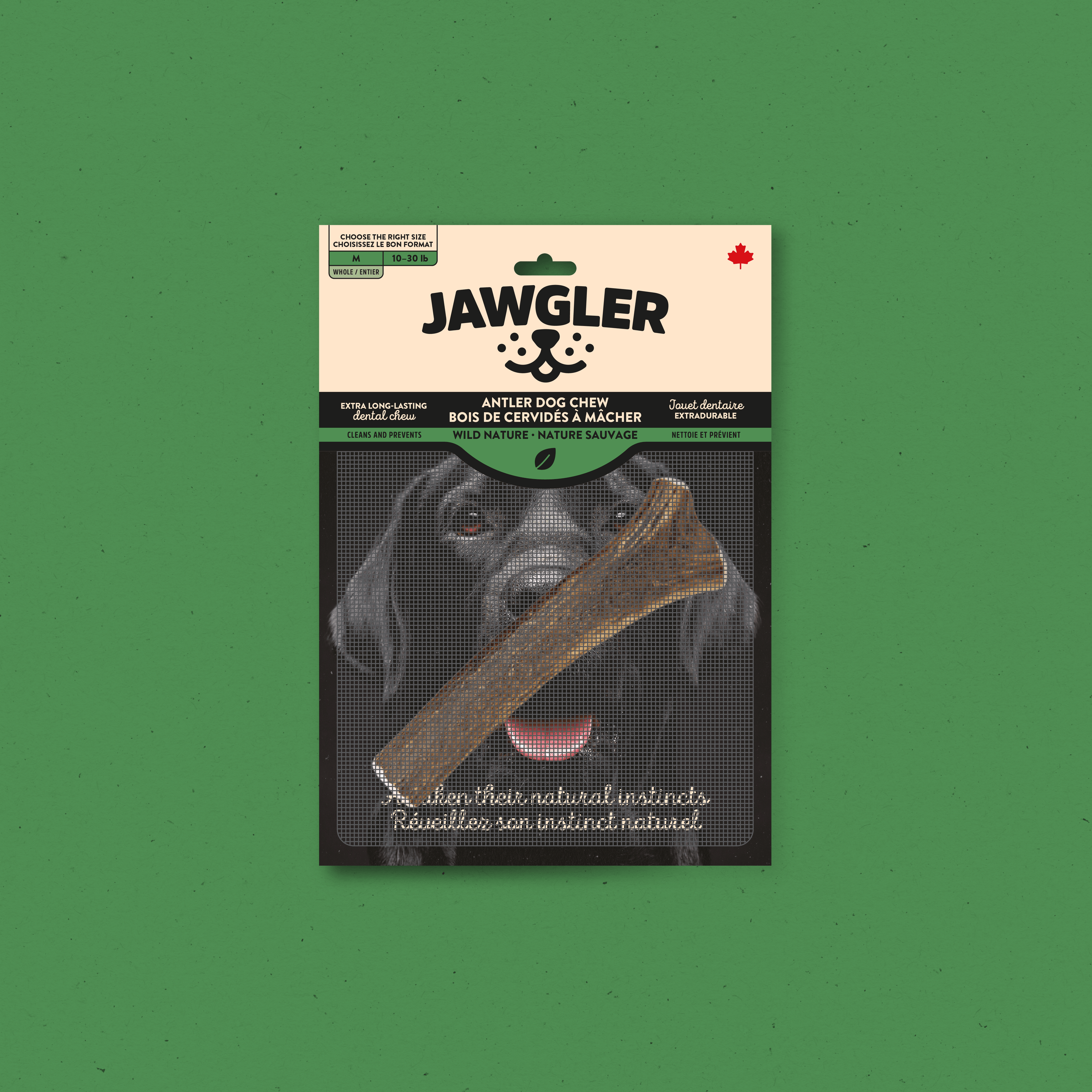 Bois de cervidés - Nature sauvage - Entier