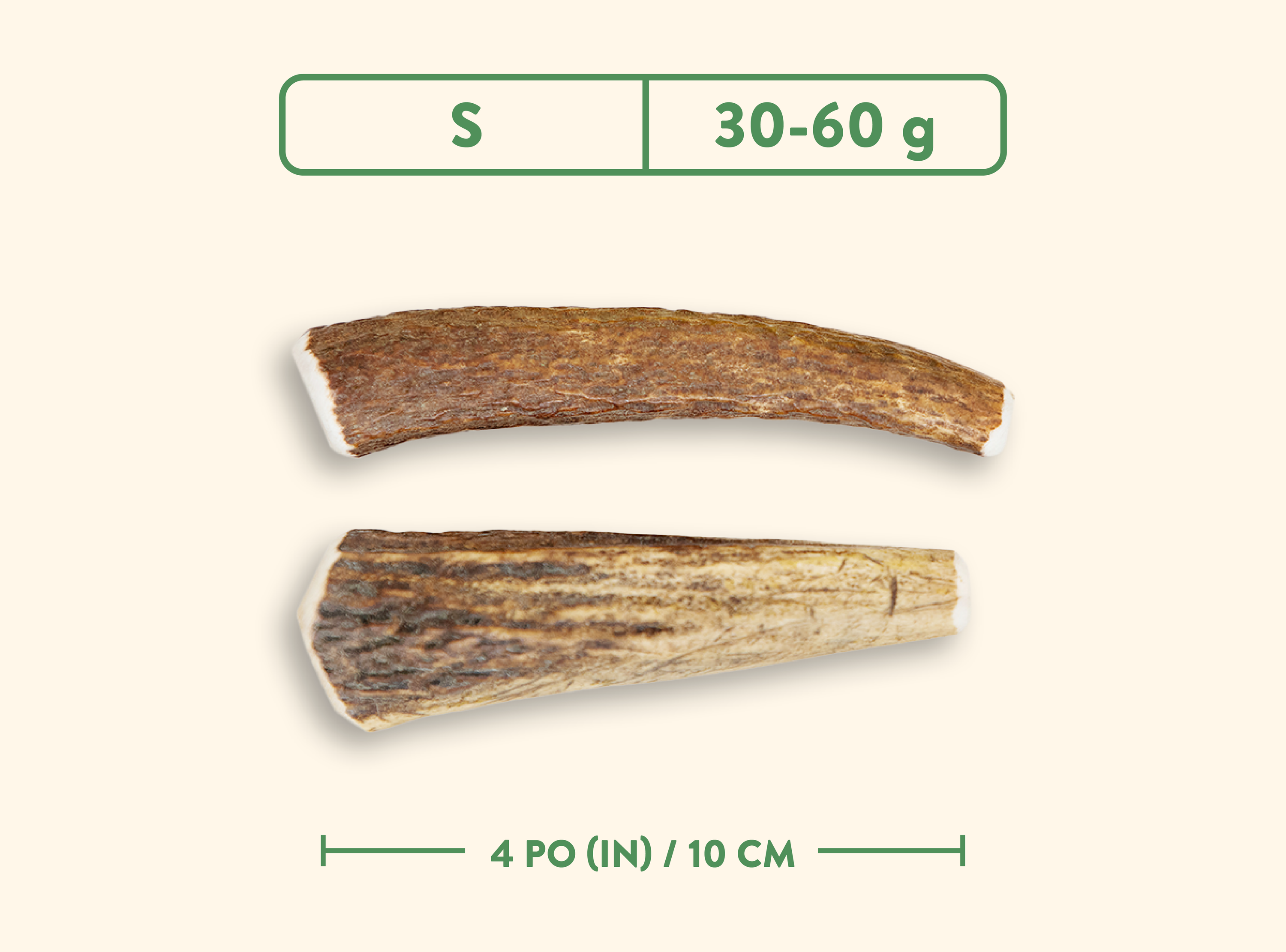 Bois de cervidés - Nature sauvage - Entier