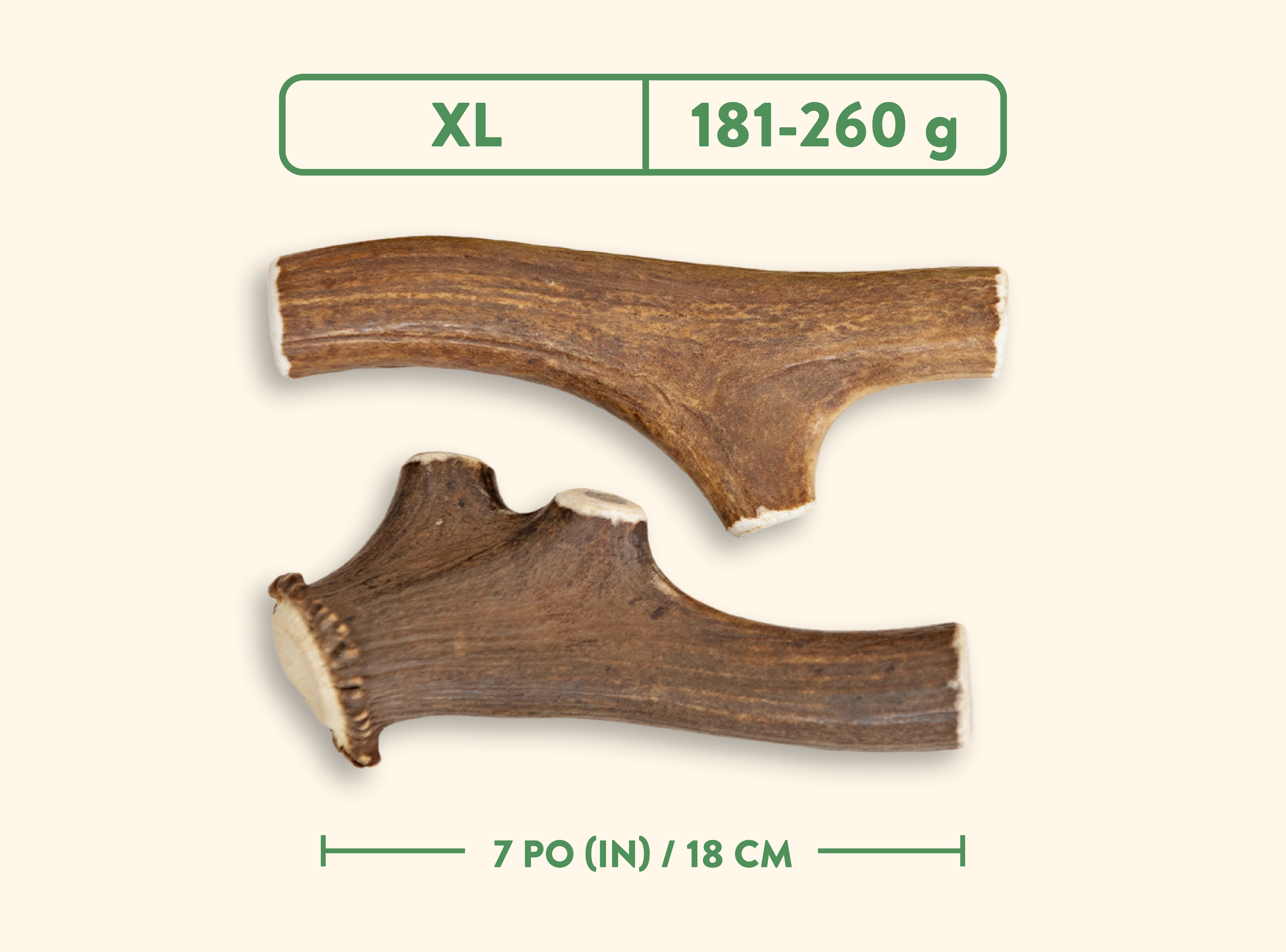Bois de cervidés - Nature sauvage - Entier