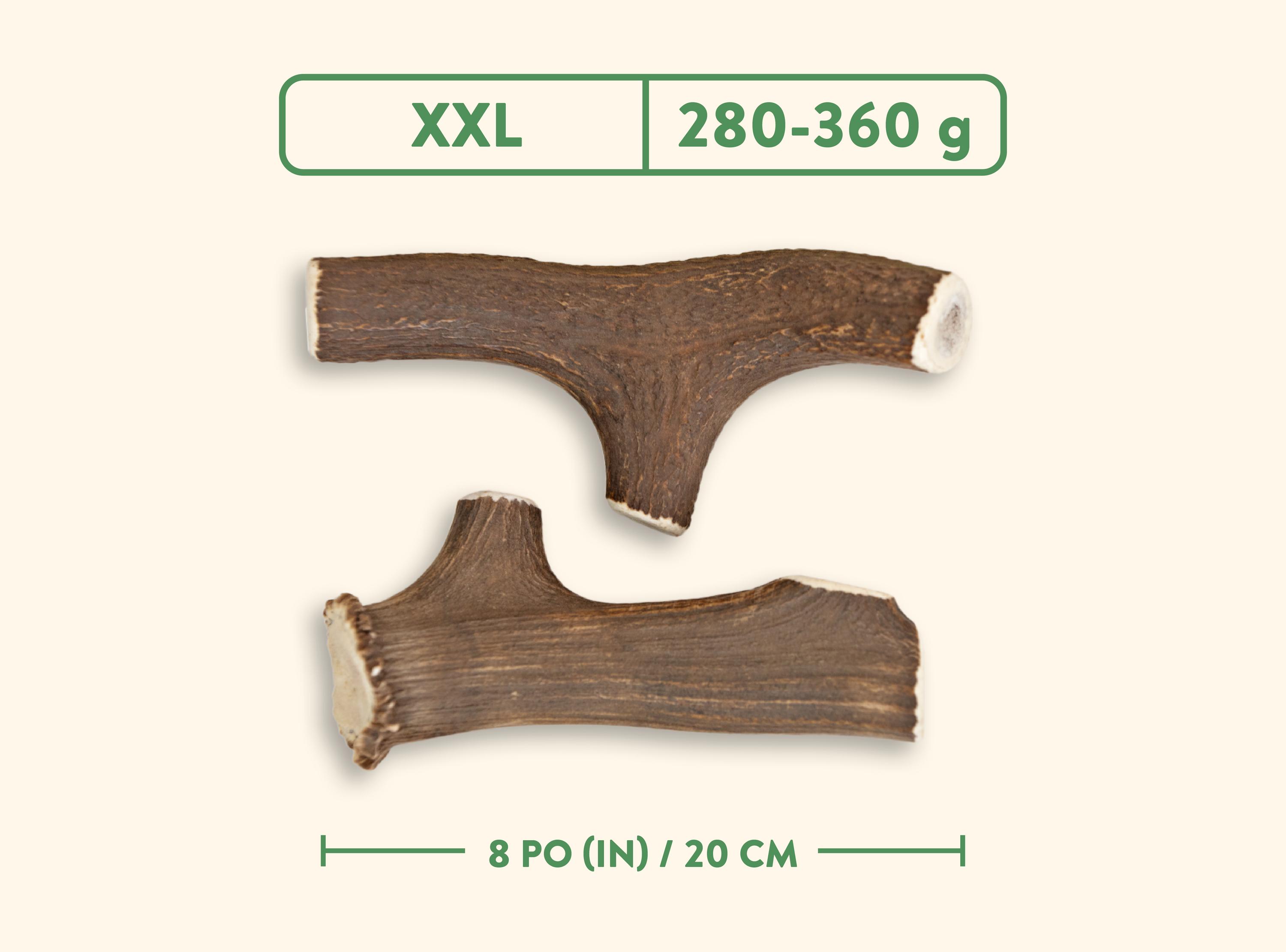 Bois de cervidés - Nature sauvage - Entier