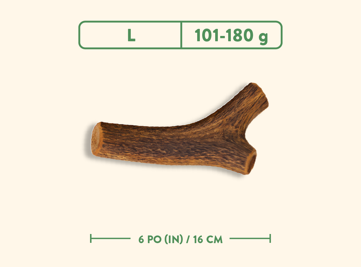 Bois de cervidés - Jambon fumé à l'érable - Entier