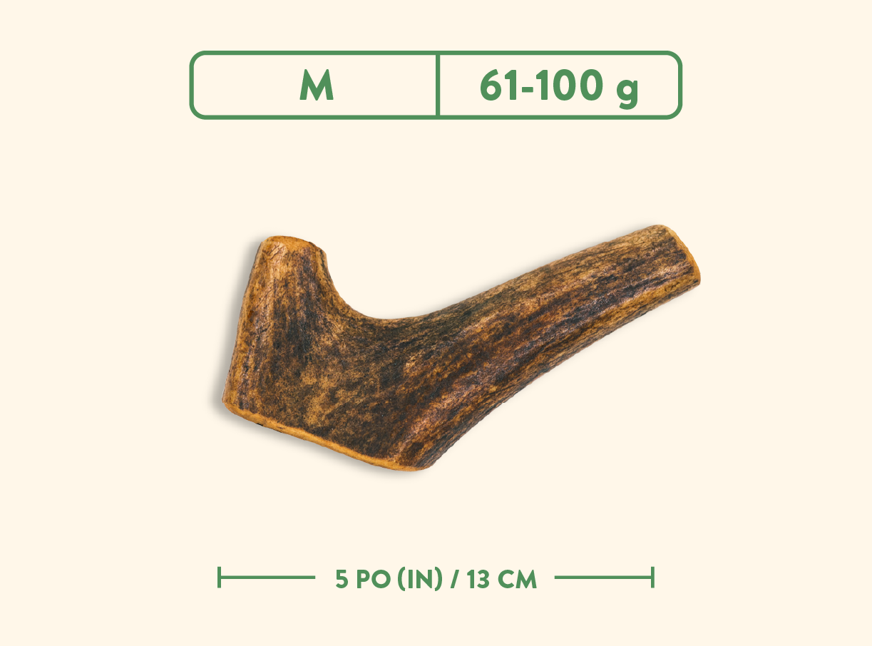Bois de cervidés - Jambon fumé à l'érable - Entier