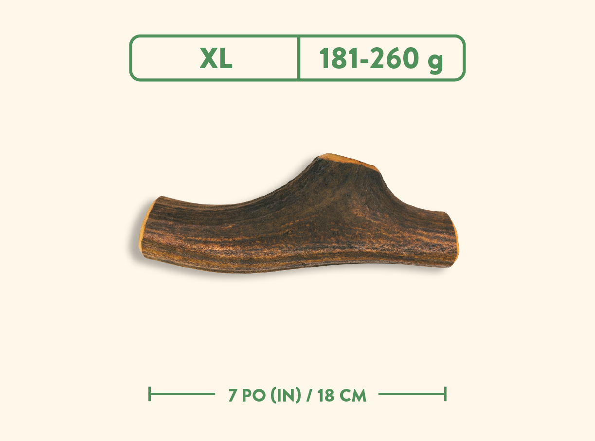 Bois de cervidés - Jambon fumé à l'érable - Entier
