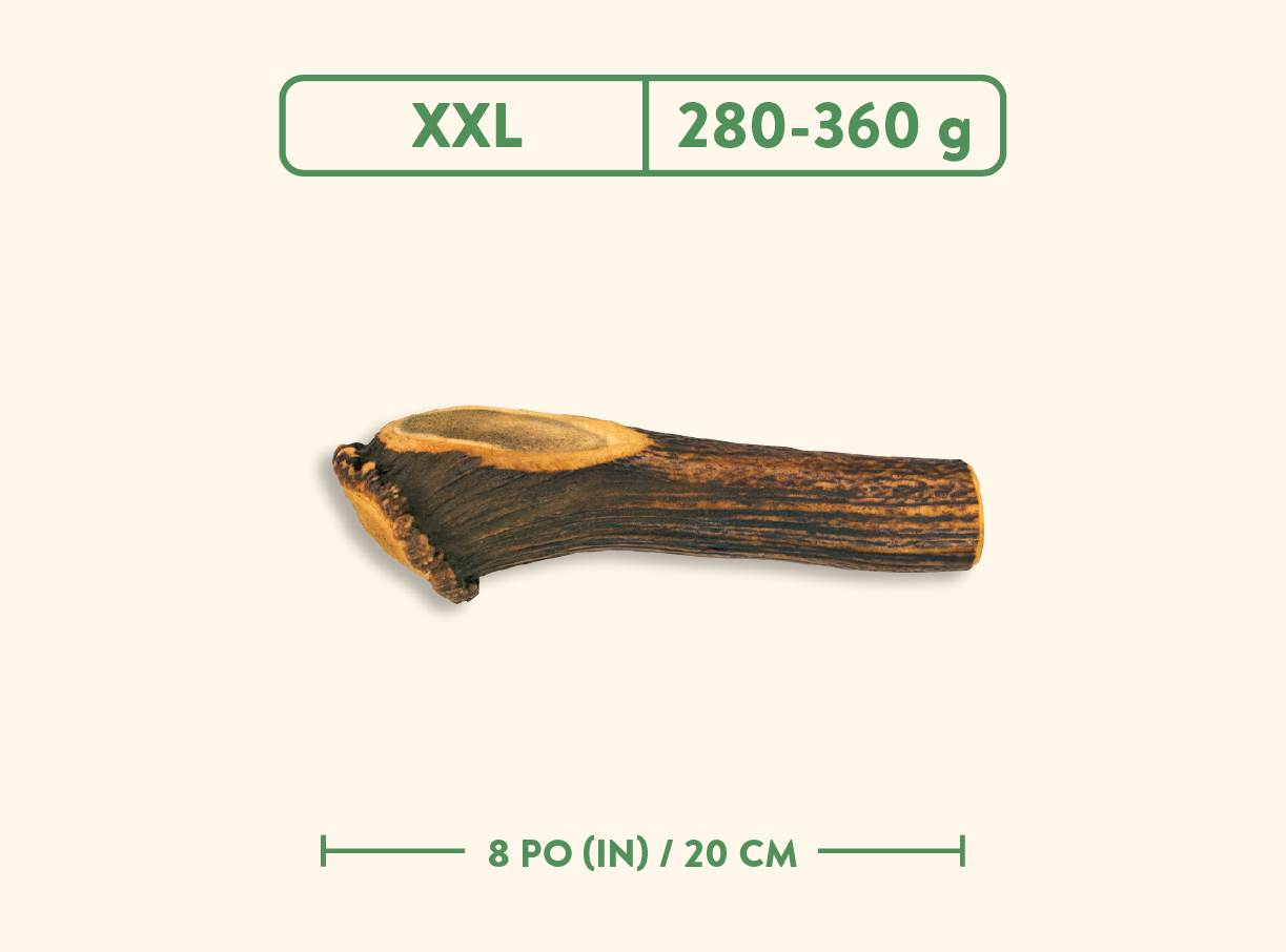 Bois de cervidés - Jambon fumé à l'érable - Entier