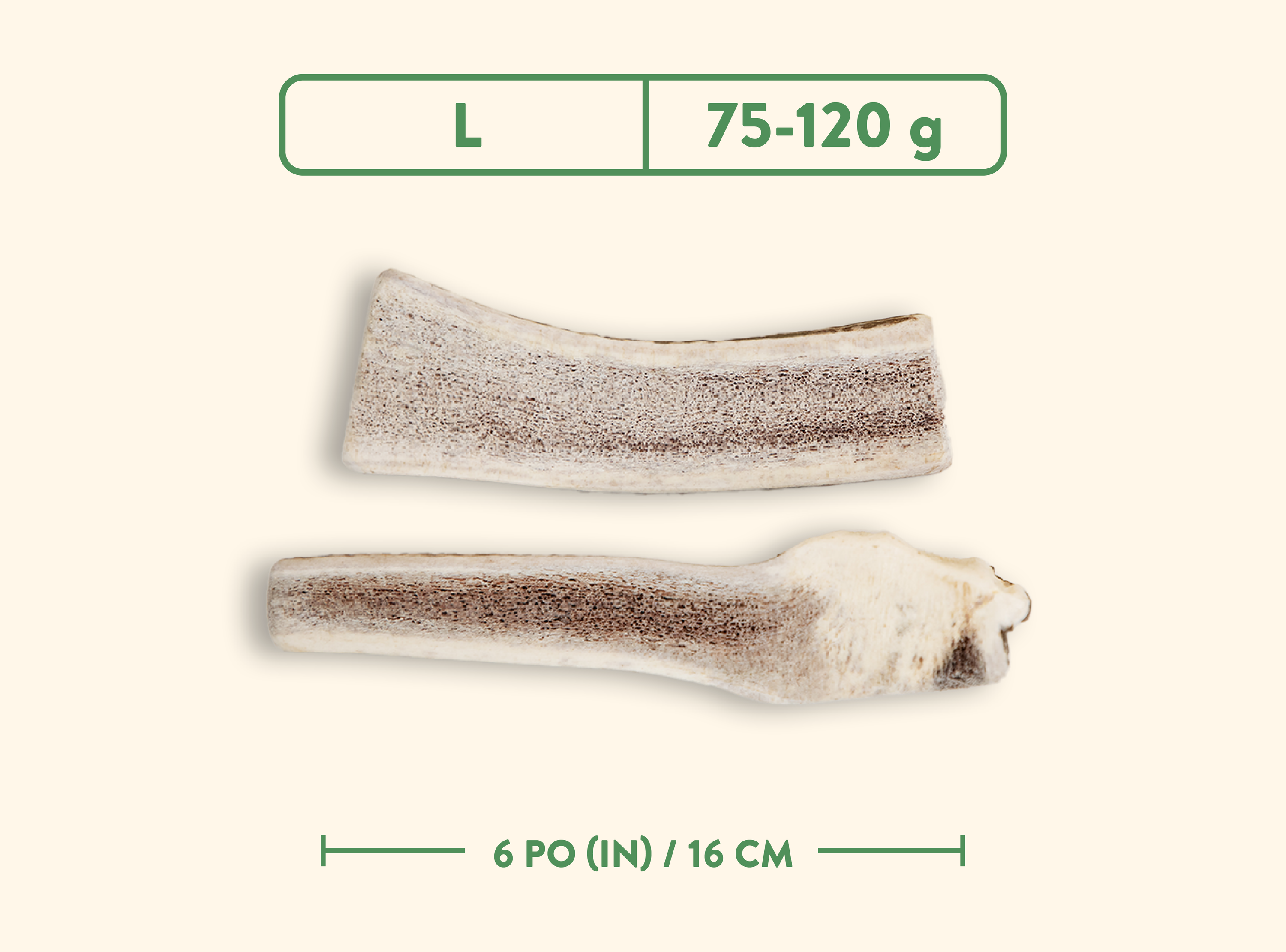 Bois de cervidés - Nature sauvage - Coupé