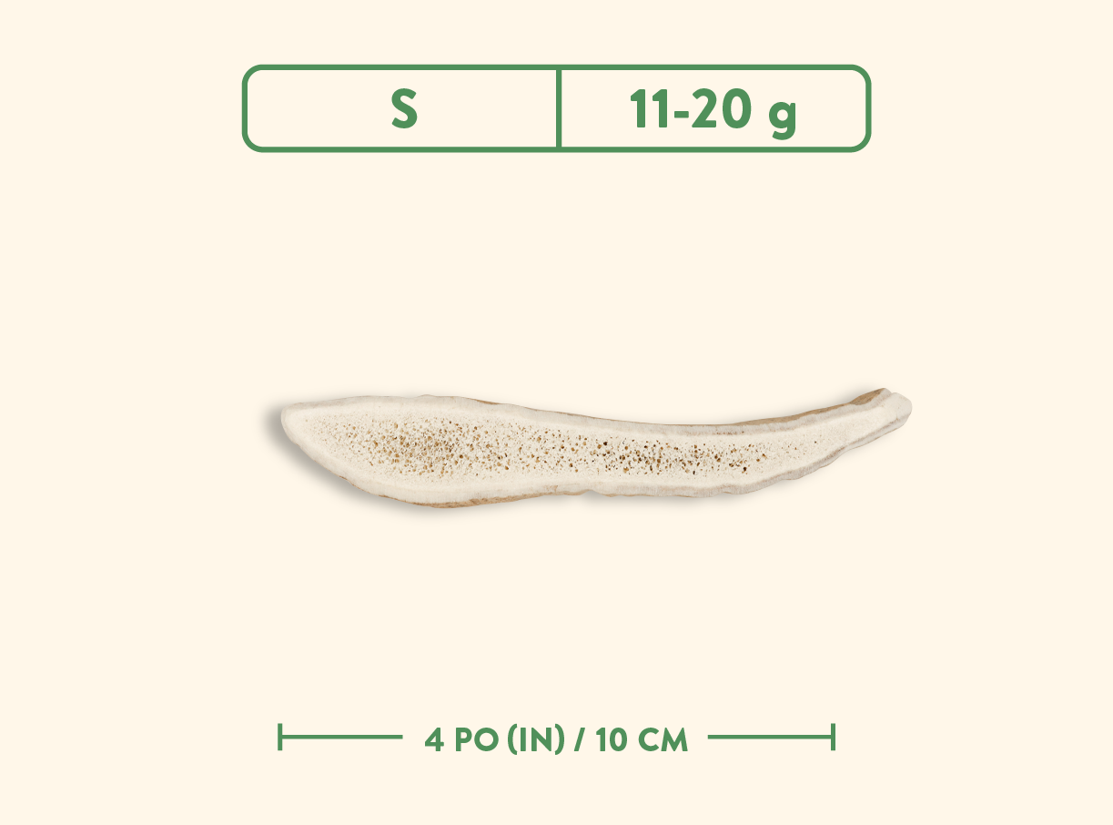 Bois de cervidés - Nature sauvage - Coupé