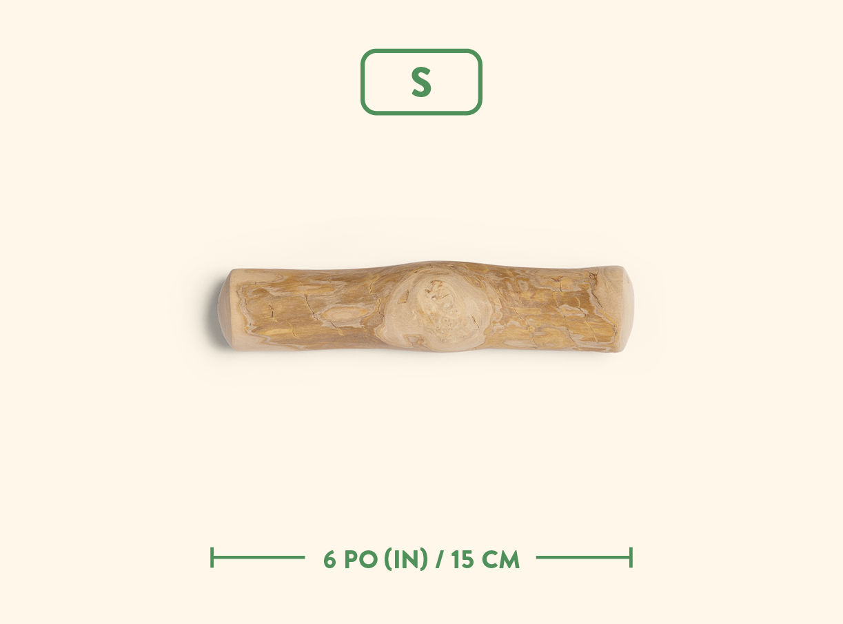 Bois de Java - Nature sauvage